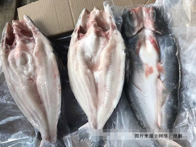 越南冷凍巴沙魚進口報關資料