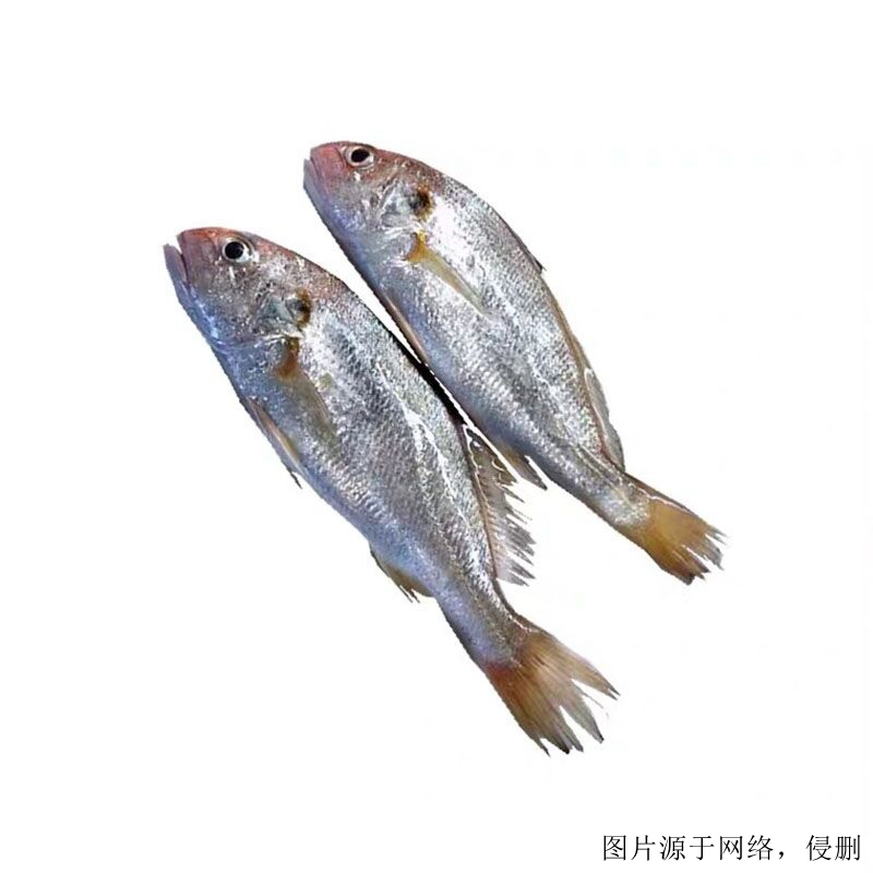 越南白姑魚進口清關流程